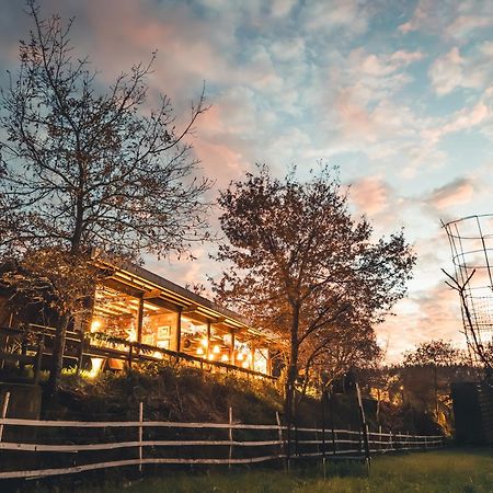 Vale Da Silva Villas - Homes Albergaria-a-Velha Ngoại thất bức ảnh