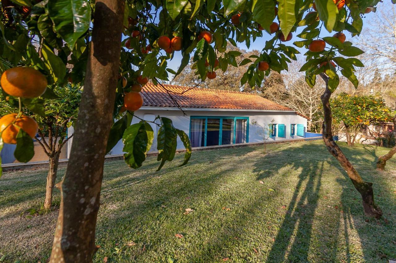 Vale Da Silva Villas - Homes Albergaria-a-Velha Ngoại thất bức ảnh